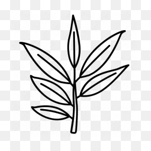 Bush, Eucalyptus, Gum, Leaf, Tree, Willow Icon - Download On Iconfinder
