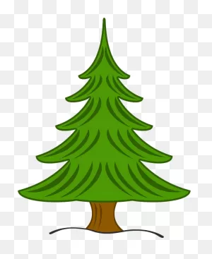 Evergreen Tree Clipart. Free Download Transparent .png | ClipartFlare