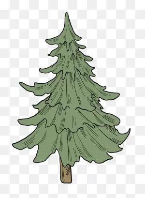 Evergreen Tree Clipart. Free Download Transparent .png | ClipartFlare