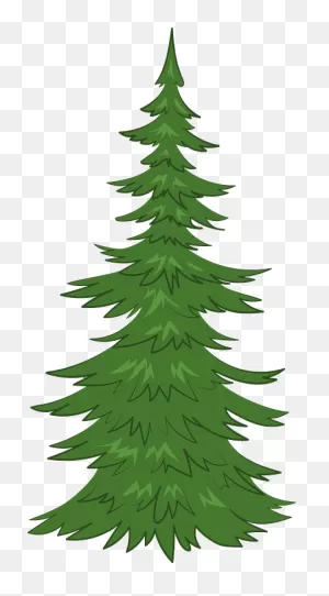 Evergreen Tree Clipart. Free Download Transparent .png | ClipartFlare