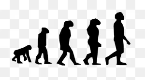 Free Evolution Cliparts, Download Free Evolution Cliparts Png ClipartFlare.com 