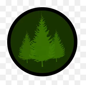Evergreen