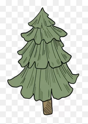 Evergreen Tree Clipart. Free Download Transparent .png | ClipartFlare