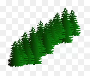 Evergreen Cluster Clip Art At ClipartFlare ClipartFlare.com - Vector Clip Art Online ClipartFlare.com 