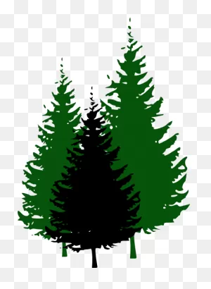 Free Evergreen Tree Images, Download Free Evergreen Tree Images ClipartFlare.com 