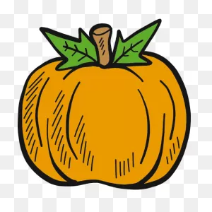 Why Choose Pumpkin Patch - Ewok - (512X512) Png Clipart Download