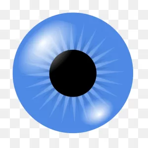 Eyeball Eye Iris - Free Vector Graphic On ClipartFlare