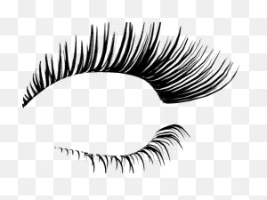 Long Clipart Eye Lashes - Eyelashes Transparent - Png Download ClipartFlare.com 