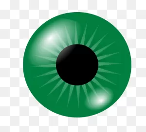 Eyeball Eye Iris - Free Vector Graphic On ClipartFlare