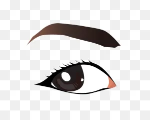 Eyebrow Clip Art - Vector Eye Brows Png Download - 709*567 - Free ClipartFlare.com 