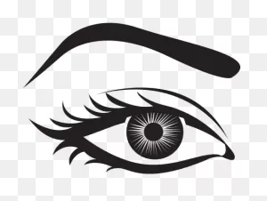 Eye And Eyebrow Icon - Eyebrow Icon Transparent Background ClipartFlare.com 