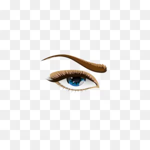 Vector Graphics Of Brown Eyebrow Eye | Free PNG-WebP
