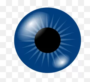 Eyeball Eye Iris - Free Vector Graphic On ClipartFlare