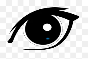 Free Photo See Look Observe Eye Iris Vision Eyeball Human - Max Pixel