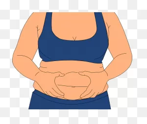 Fat Diet Update - Fat In A Human Body Clipart - Full Size Clipart ClipartFlare.com 
