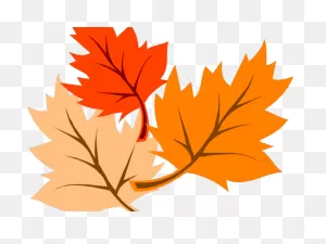 Autumn Leaves Clipart Corner Border - Fall Leaves Clip Art | Full ClipartFlare.com 