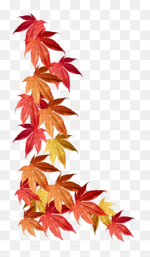 Fall Border Png - Autumn Leaves Border Clipart - Full Size Clipart ClipartFlare.com 