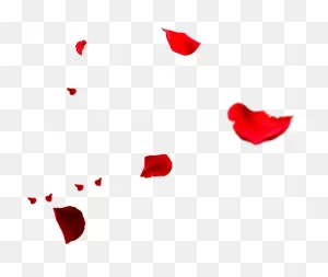 Petal Rose Flower - Rose Petals Falling Png - (982X850) Png ClipartFlare.com 