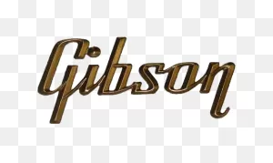 There Is No Substitute! In 2021 | Guitar Logo, Gibson Guitars, Gibson