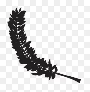Download Feather Silhouette Clip Art - Feather Silhouette ClipartFlare.com 