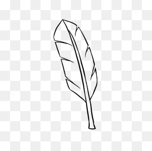 How To Draw A Feather - Really Easy Drawing Tutorial | Easy ClipartFlare.com 