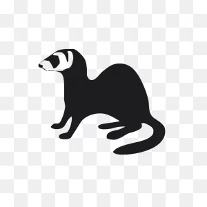 Black-Footed Ferret Stoat Silhouette Least Weasel - Ferret Png ClipartFlare.com 