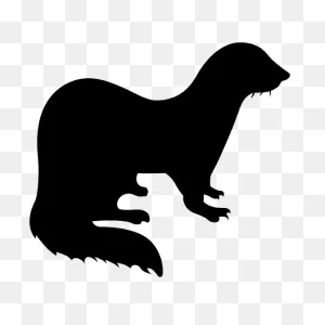 Curious Ferret Sticker