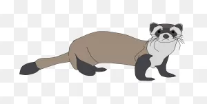 Ferret Png Clipart Png, PNG-WebP Clip Art For Web - Download Clip Art ClipartFlare.com 