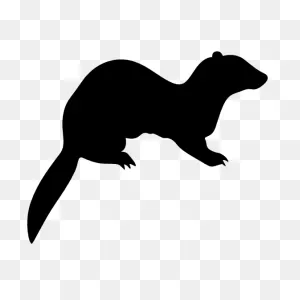 Ferret On Four Feet Sticker