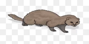 Ferret Animal Mammal - Free Vector Graphic On ClipartFlare