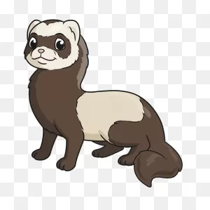 Learn How To Draw A Ferret Step By Step - Comets Art