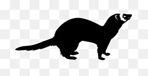 Mink Drawing Polecat - Ferret Clipart - Full Size Clipart ClipartFlare.com 