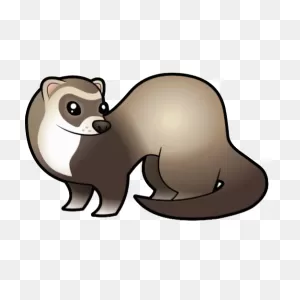 Png Images, Pngs, Ferret, Ferrets, (34).png | ClipartFlare