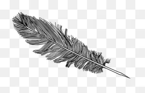 15 Feather Drawing Png For Free Download On Mbtskoudsalg - Feather ClipartFlare.com 
