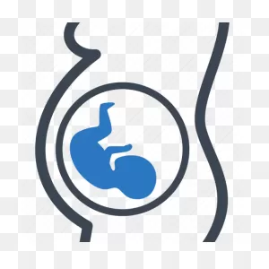 Embryo, Fetus, Mother, Pregnancy Icon - Download On Iconfinder