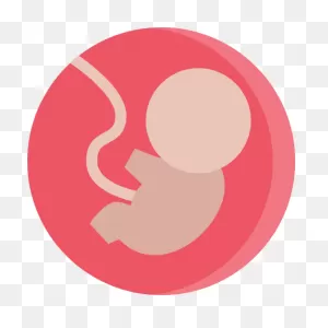 Fetus - Free Medical Icons