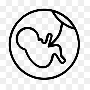 Fetus, Motherhood, Pregnancy, Unborn Baby, Womb Icon ClipartFlare.com 
