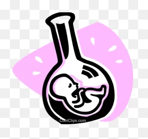 Fetus Royalty Free Vector Clip Art Illustration -Vc075912 ClipartFlare.com 