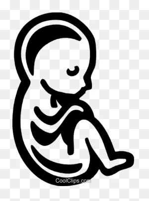 Fetus Royalty Free Vector Clip Art Illustration -Vc075915 ClipartFlare.com 