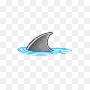 Printed Vinyl Shark Fin | ClipartFlare