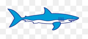 Shark Fin Clipart - Png Download - Full Size Clipart (#701782 ClipartFlare.com 