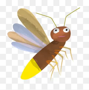 Firefly Clipart. Free Download Transparent .png | ClipartFlare