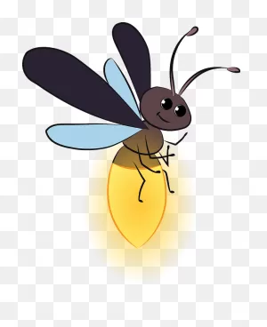 Firefly Clipart. Free Download Transparent .png | ClipartFlare