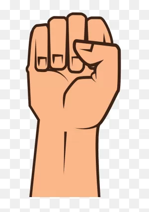 Hand Closed Fist Png Transparent - ClipartFlare