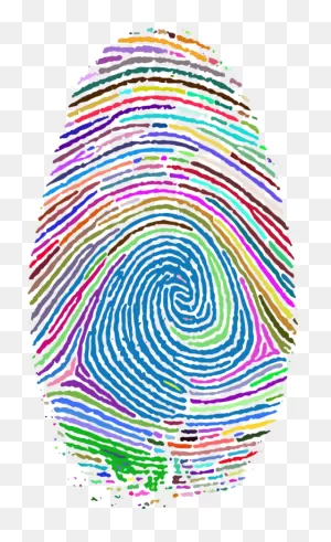 Fingerprint Computer Icons Thumb Fingerabdruckscanner - Fibonacci ClipartFlare.com 