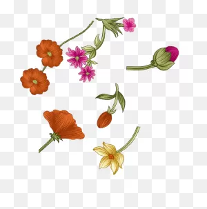 Gostock In 2021 | Floral Pattern Design, Digital Flowers, Textile ClipartFlare.com 
