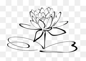 Lotus Flower Line Art - Free Vector Graphic On ClipartFlare