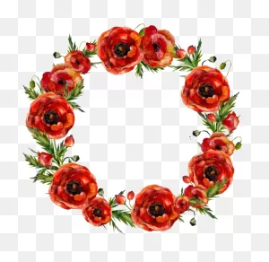 Round Poppy Flower Frame Png Image - Flower Circle Border Png Red ClipartFlare.com 