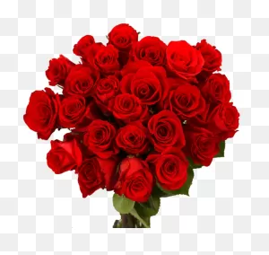 Valentine Day Flower Png Download Image - 36 Red Roses Bouquet ClipartFlare.com 