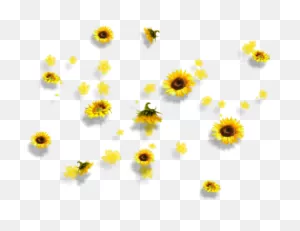 Yellow Flowers Aesthetic Tumblr Falling Clipart - Full Size ClipartFlare.com 